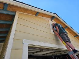 Shed Removal in Hebbronville, TX